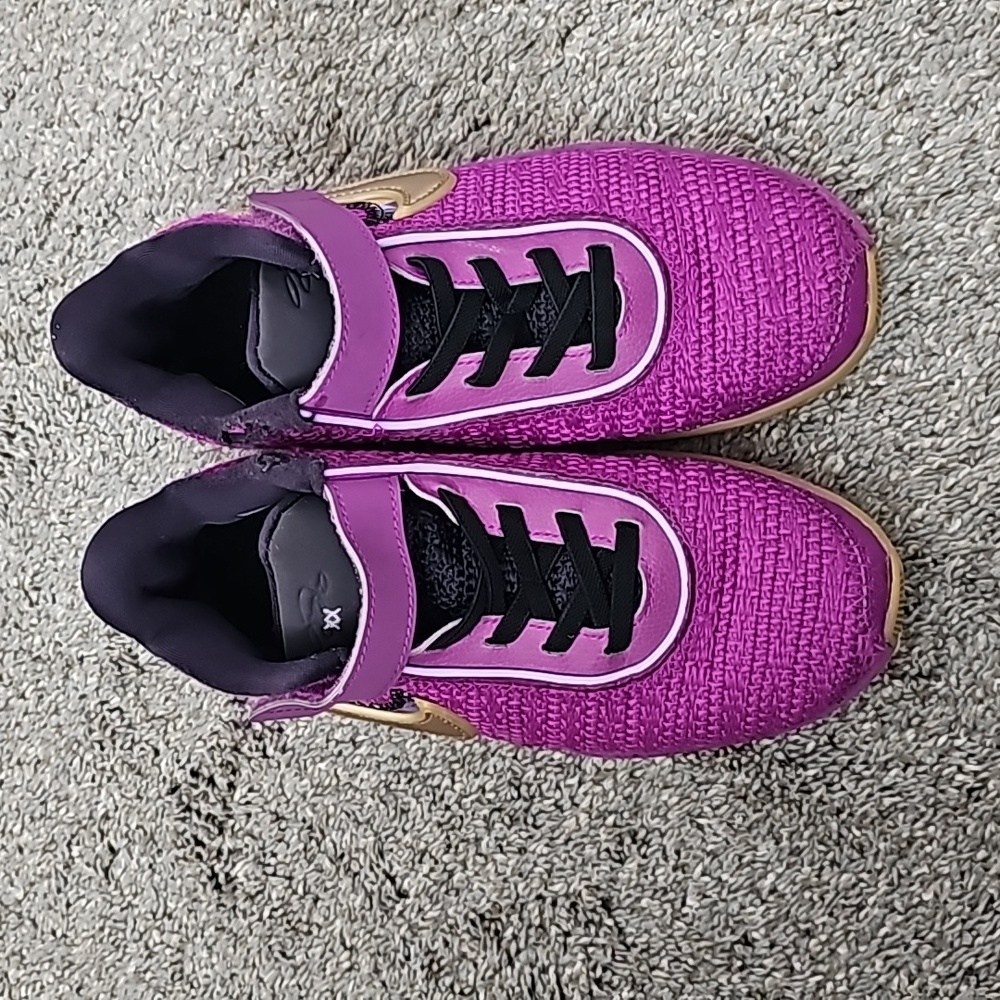 LeBron James  weaved basketball shoes as is